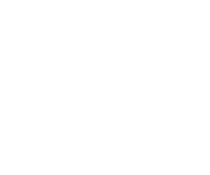 briefcase
