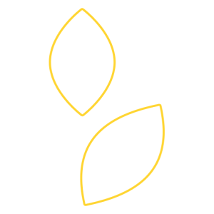 LEAFS ICON 1