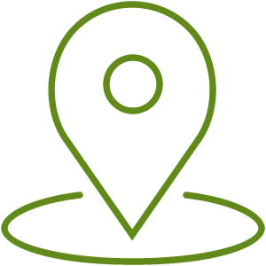 PIN ICON